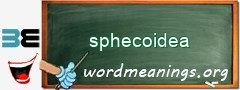 WordMeaning blackboard for sphecoidea